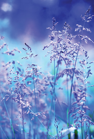 Blaue Natur