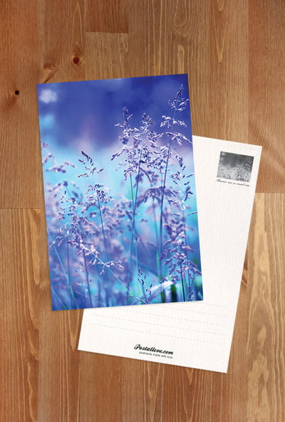 Blaue Natur