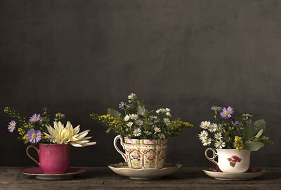 Blumen in Tassen