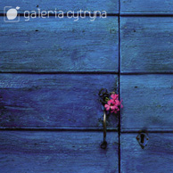 Galerie Zitrone - Blaues Tor