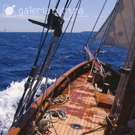 Galerie Zitrone - Yacht