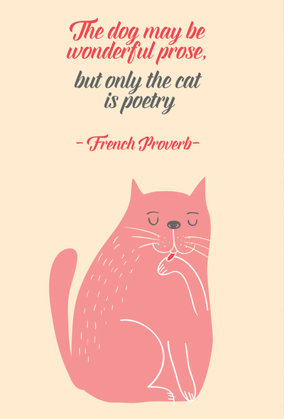 Katzenzitate - The dog may be wonderful prose, but only the cat is poetry