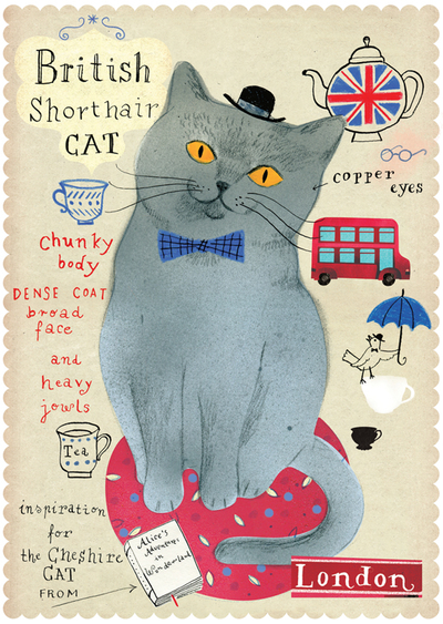 britische Katze