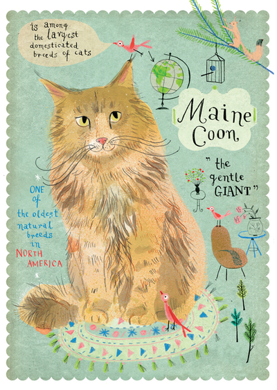 Maine Coon Katze