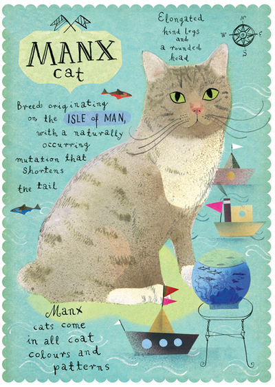 Manx-Katze