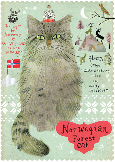 Norwegische Waldkatze
