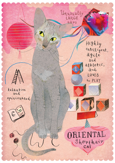 Orientalische Katze