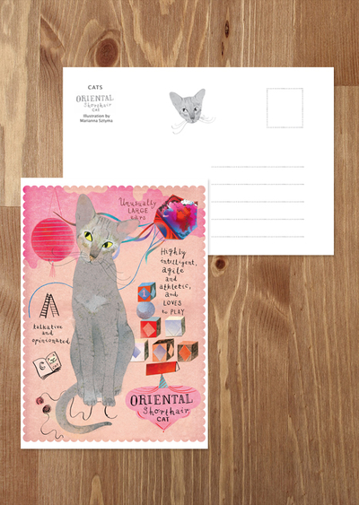 Orientalische Katze
