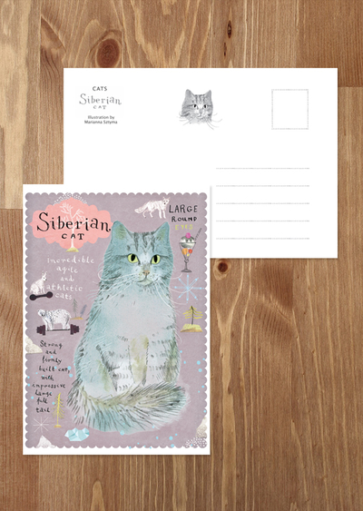 Sibirische Katze