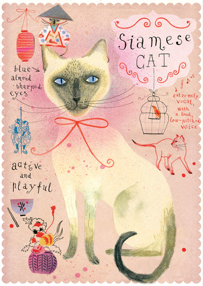 Siamkatze