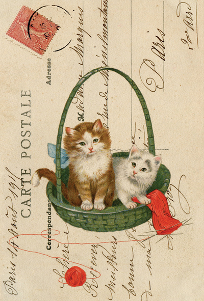 Collage mit Katzen in einem Korb