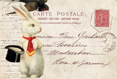 Collage mit Kaninchen