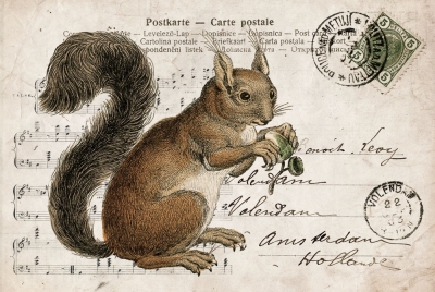 Collage mit Eichhörnchen