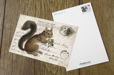 Collage mit Eichhörnchen