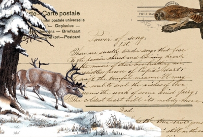 Winter-Collage