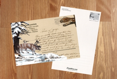 Winter-Collage