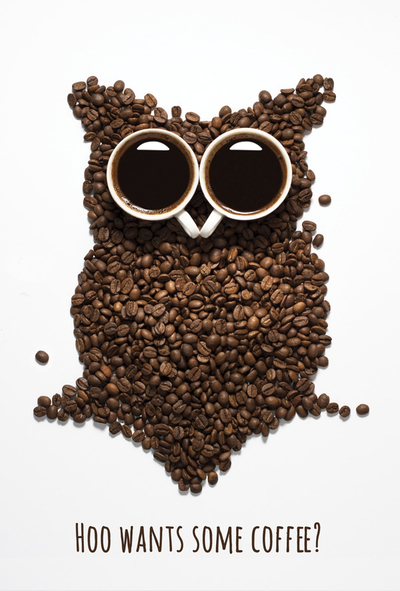 Kaffee-Eule