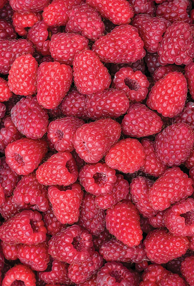 Himbeeren