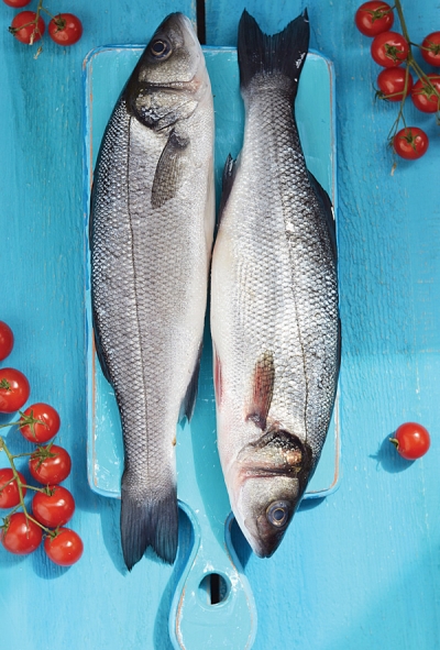 Fisch und Tomaten