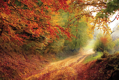Der Herbst kommt!