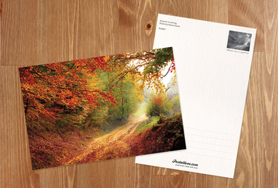 Der Herbst kommt!