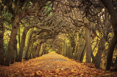 Danziger Park im Herbst