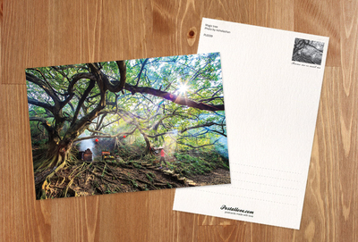 Magischer Baum