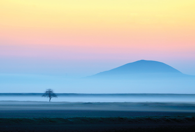 Landschaft mit Baum