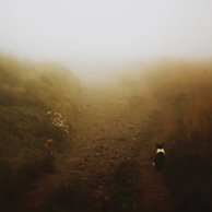 Agata Dobrzańska- Nebel