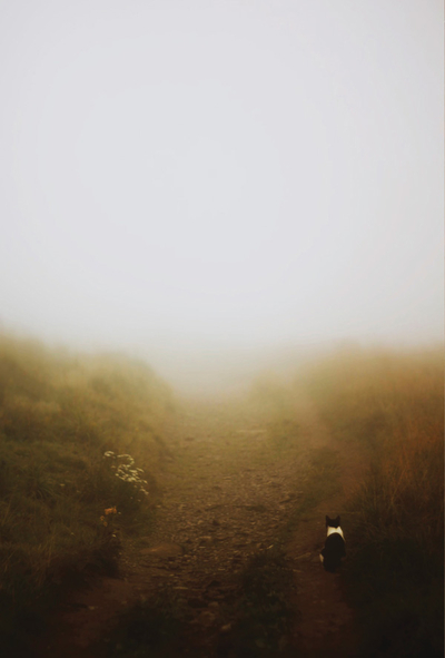 Agata Dobrzańska- Nebel