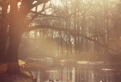 Agata Dobrzańska - Park bei Sonnenuntergang