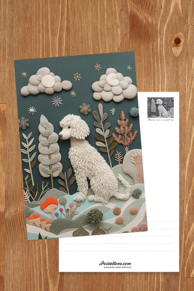 Biały piesek - lagotto