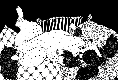 Dobrusia Rurańska - Couch-Hund