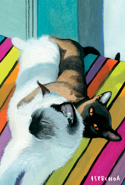 Isy Ochoa - Meine geliebten Katzen