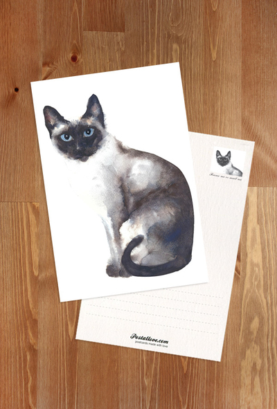 Siamkatze Aquarell