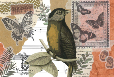 Marika Wieczorek - Vogel und Schmetterlinge