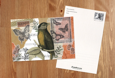 Marika Wieczorek - Vogel und Schmetterlinge