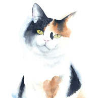 Dreifarbige Aquarellfarbe