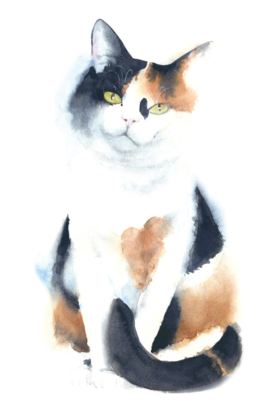 Dreifarbige Aquarellfarbe