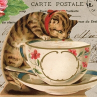 Collage mit Kätzchen