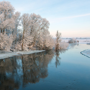 Poland - Love to be here...  - Narew im Winter