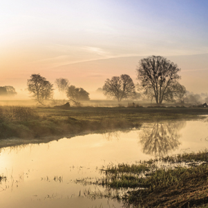Poland - Love to be here... - Morgen am Fluss