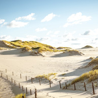 Poland - Love to be here...  - Wanderdünen, Slowinski-Nationalpark