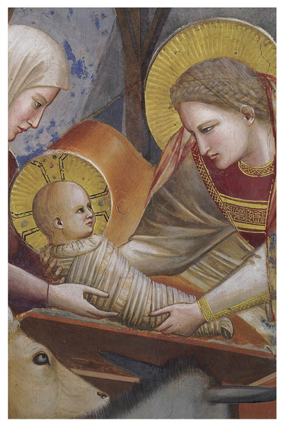 Giotto di Bondone, Die Geburt Christi