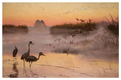Józef Chełmoński, Morgendämmerung. Das Königreich der Vögel