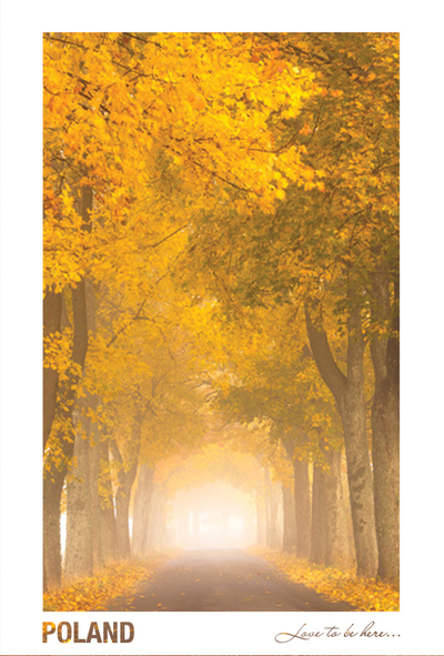 Poland - Love to be here... - Herbst in der Kaschubei