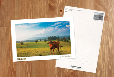 Poland - Love to be here... - Landschaft mit einer Kuh, Pieniny-Bergen