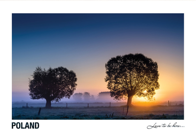 Poland - Love to be here... - Weiden, Podlasie