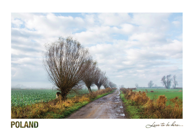 Poland - Love to be here...  - Frühlingsweiden