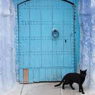 Blaue Tür und schwarze Katze